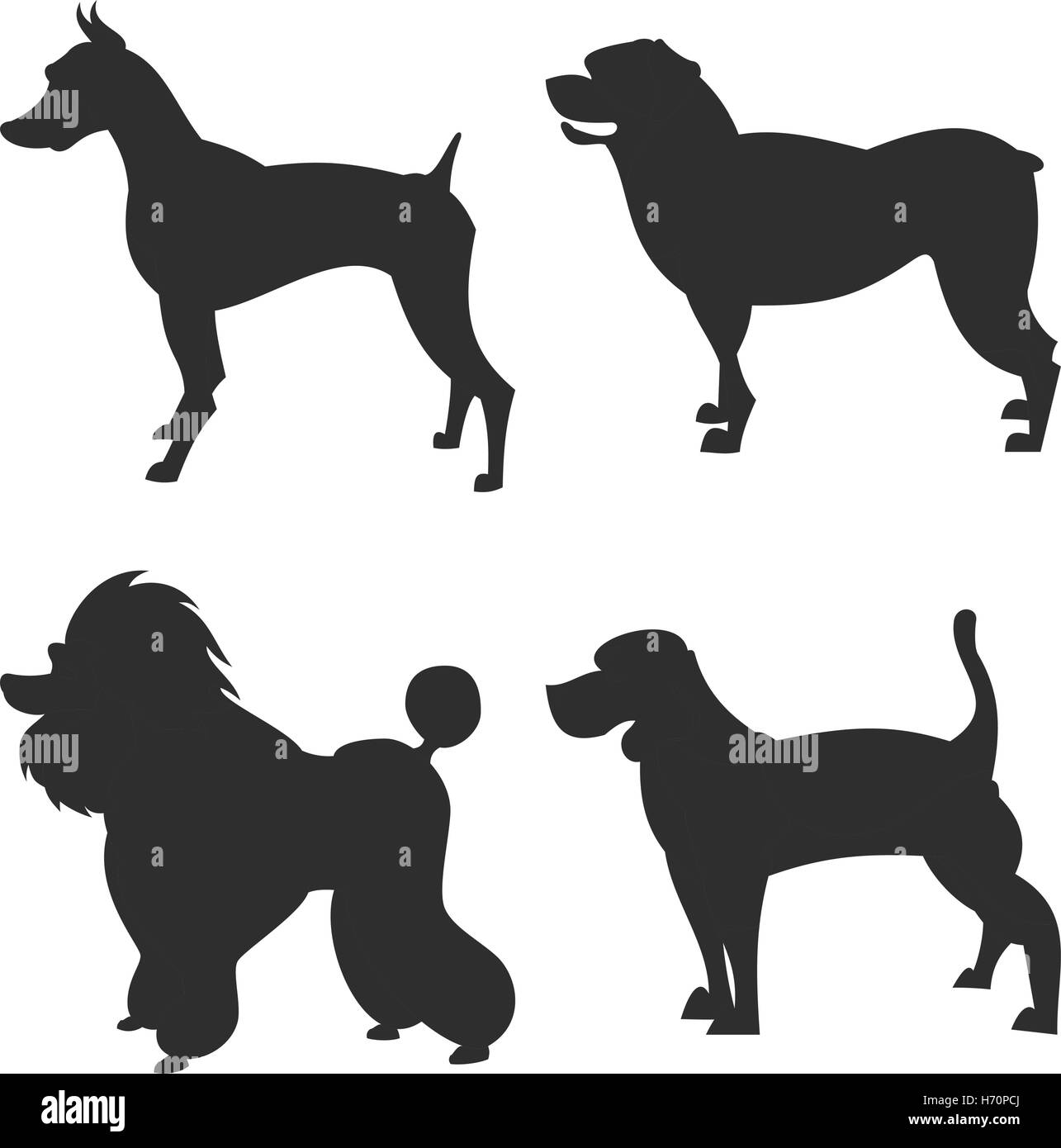die quadratischen Bild kleine Gruppe von schwarzen Schatten der vier reinrassige Hunde Isoleted auf dem weißen Hintergrund Stock Vektor