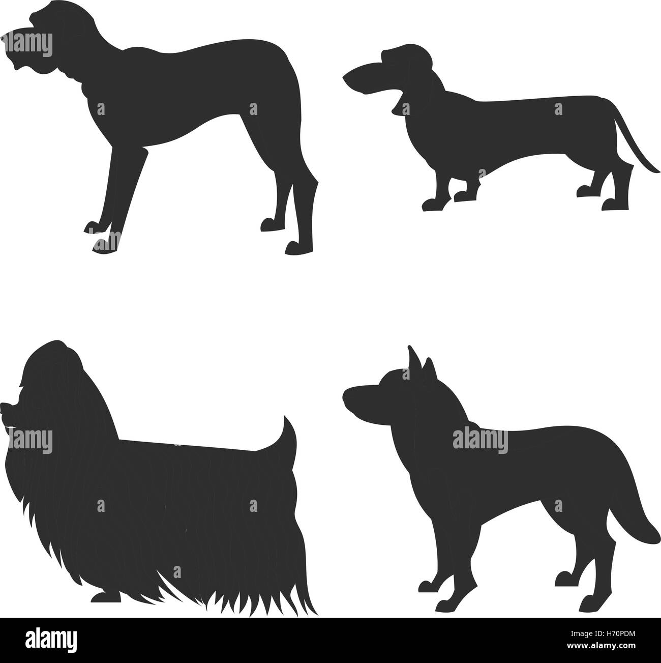 die quadratischen Bild kleine Gruppe von schwarzen Schatten der vier reinrassige Hunde Isoleted auf dem weißen Hintergrund Stock Vektor