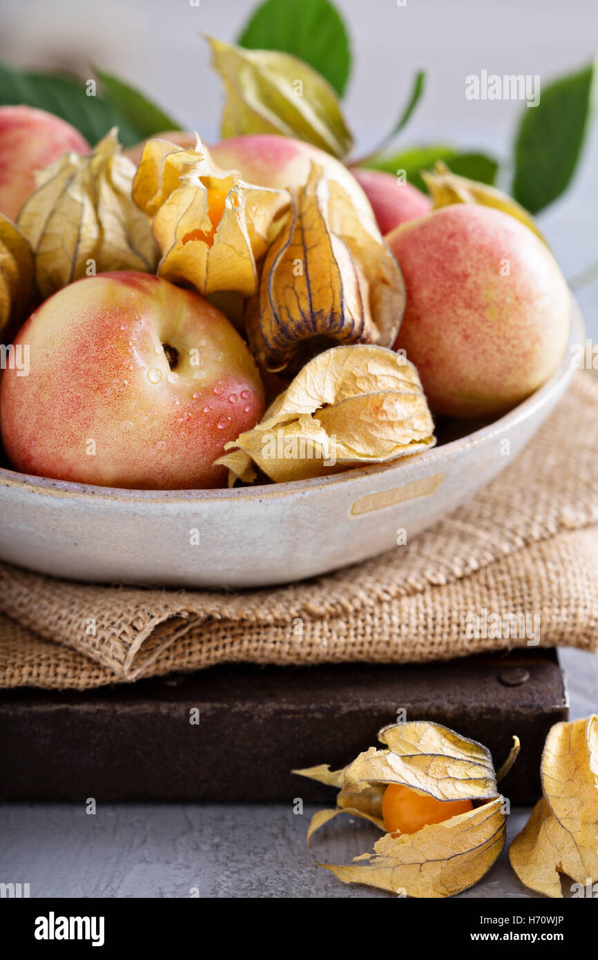 Sortierte Steinfrüchte Sommer in eine große Schüssel darunter Pfirsiche, Aprikosen, Stachelbeeren Stockfoto