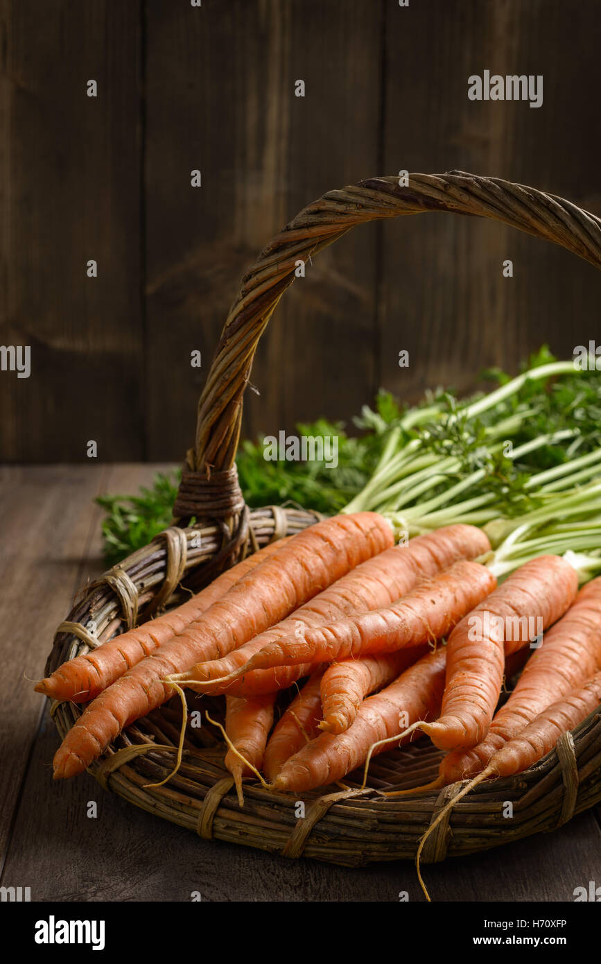 Nahaufnahme der Korb mit frisch gepflückten schmutzigste Karotten Stockfoto