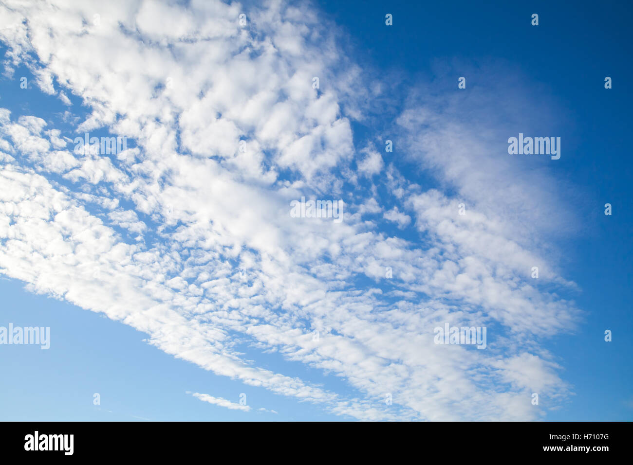 Natürlicher blauer Himmel mit weißen Altocumulus-Wolken bei tagsüber, Hintergrundtextur Foto Stockfoto