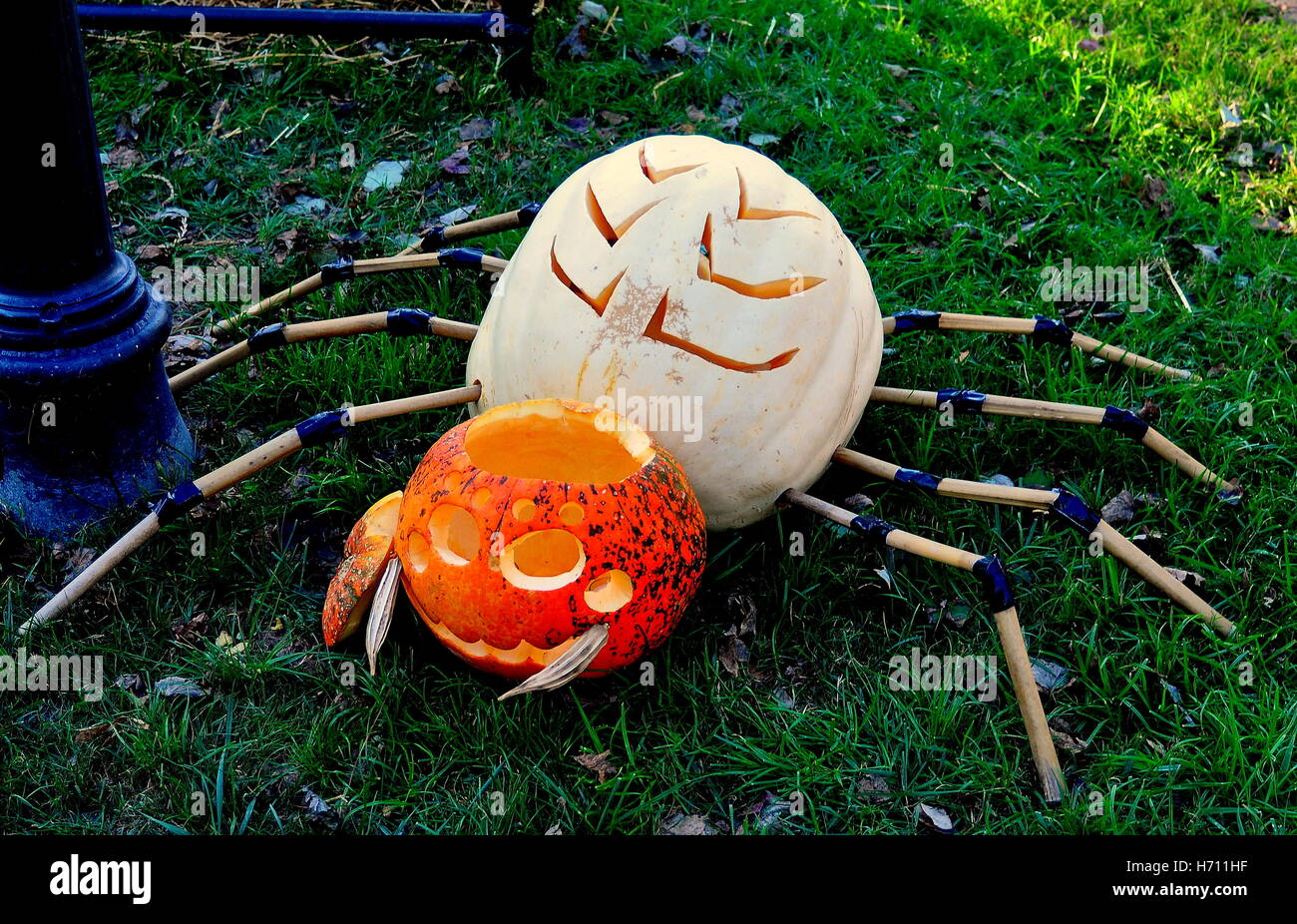 Pittsboro, North Carolina: Kürbisse geschnitzt als Krabben und Hummer auf dem Fearrington Dorf Pumpkinfest Halloween-event Stockfoto
