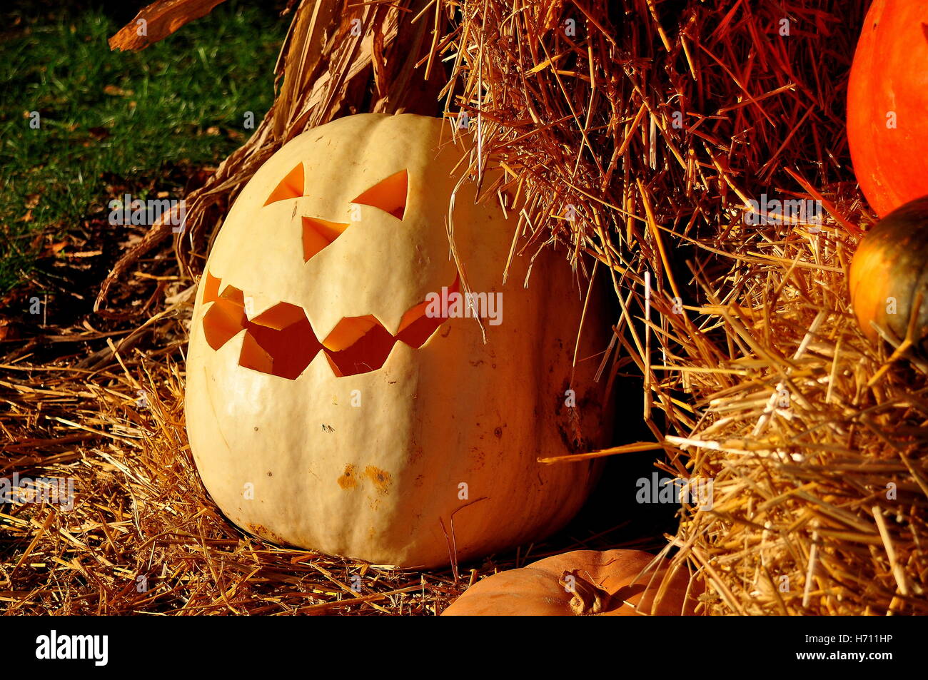 Pittsboro, North Carolina: Ballen Heu und geschnitzten Kürbis auf dem jährlichen Fearrington Dorf Pumpkinfest Halloween-event Stockfoto