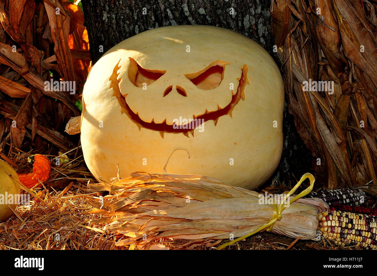 Pittsboro, North Carolina: eine geschnitzte Jack-o-Laterne mit unheimlichen Lächeln bei der jährlichen Fearrington Village Halloween-event Stockfoto