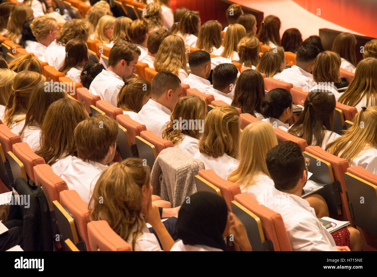 Auditorium mit Menschen an der Universität Stockfoto