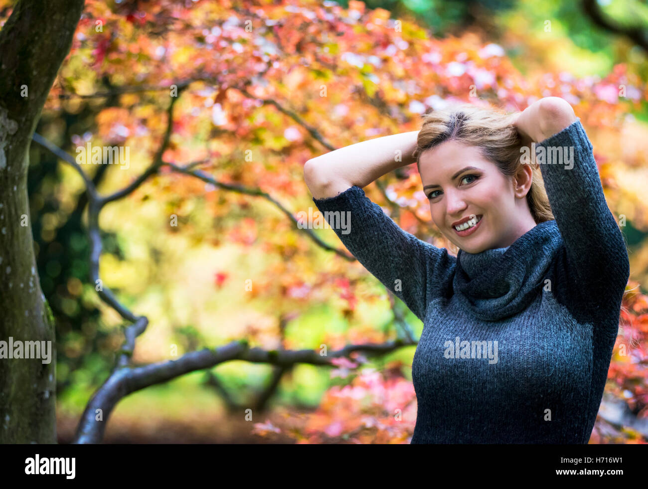 Herbstfarben im Westonbirt, England, Süd-Ost.  Auswahl an warmen Farben aus rot- und Orangetönen durch heller gelb. Stockfoto