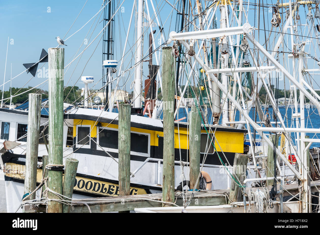 Krabbenkutter angedockt in der Nähe der St. Johns River Inlet in Mayport in Jacksonville, Florida, USA. Stockfoto