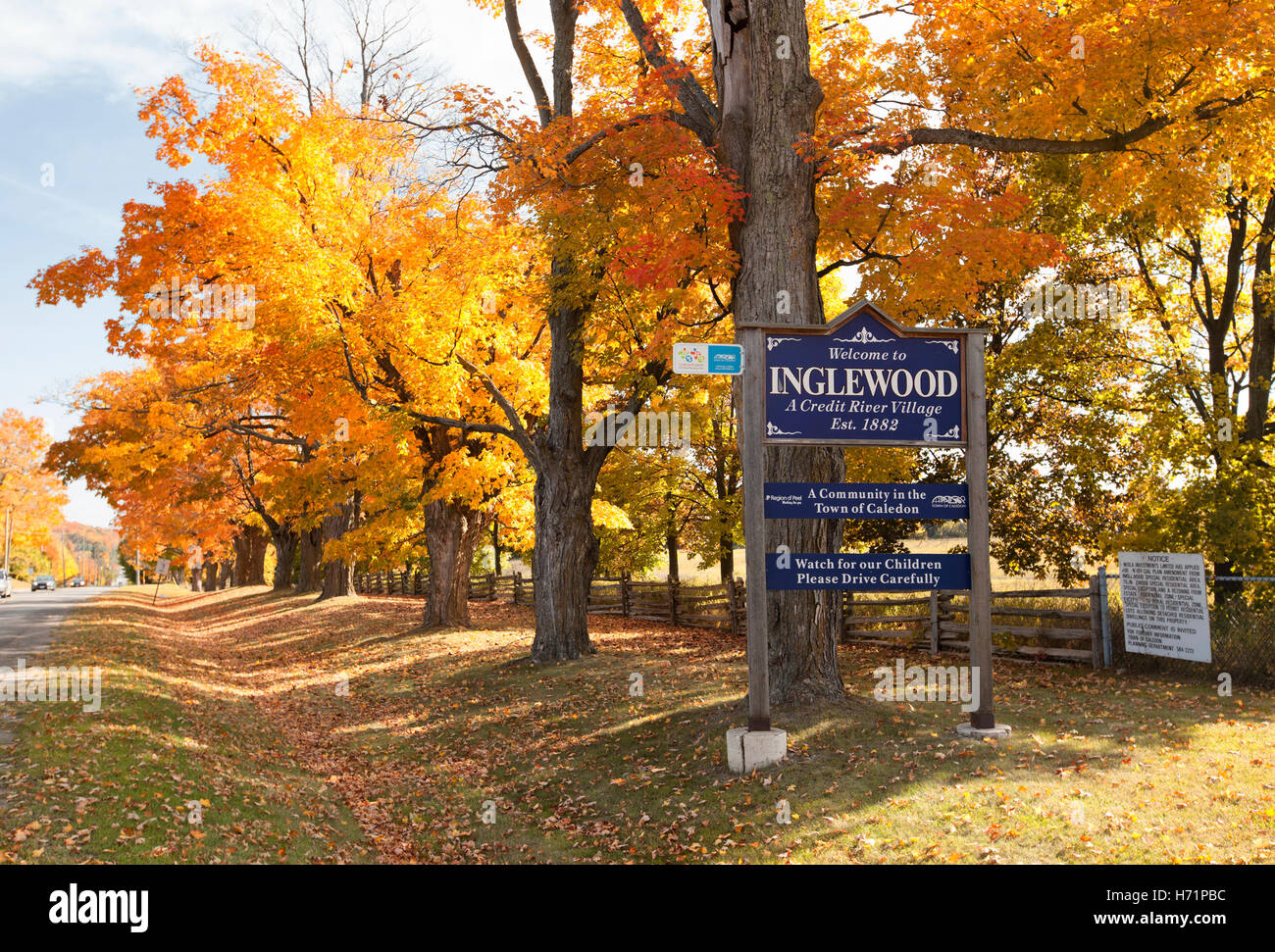 Herbst Herbst-Saison mit bunten Ahorn Blätter in das Dorf von Inglewood Ontario Kanada Stockfoto