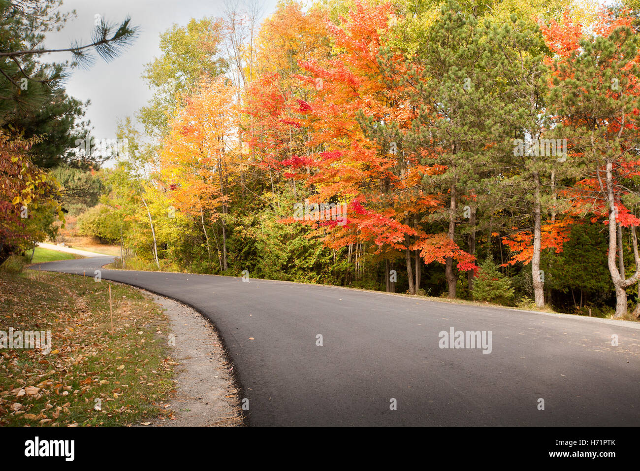 Straße durch einen bunten Herbstwald mit Ahornbäumen Stockfoto