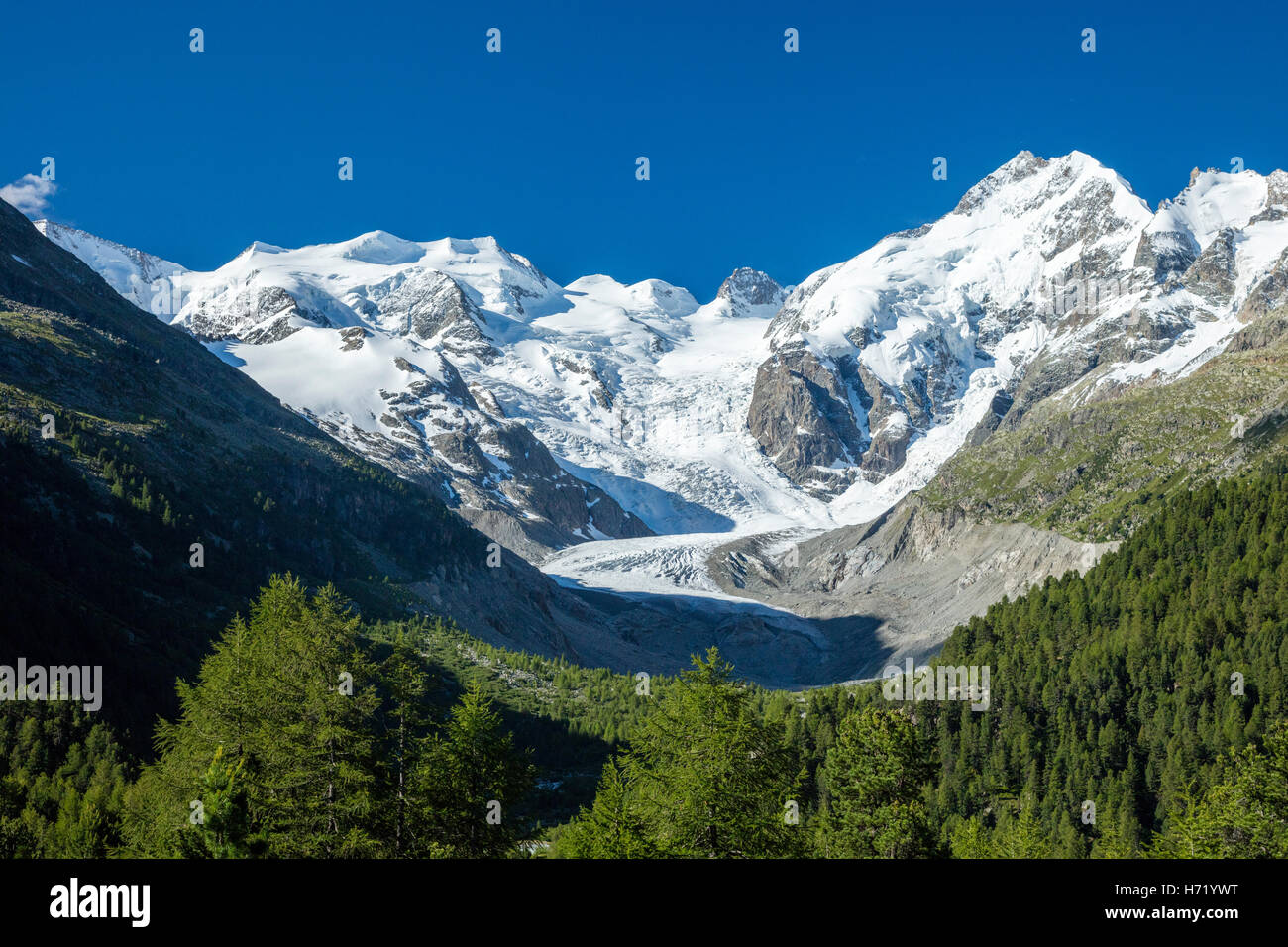 Piz Bernina und Morteratsch Gletscher, Pontresina, in der Nähe von St. Moritz, Berniner Alpen, Graubünden, Schweiz. Stockfoto
