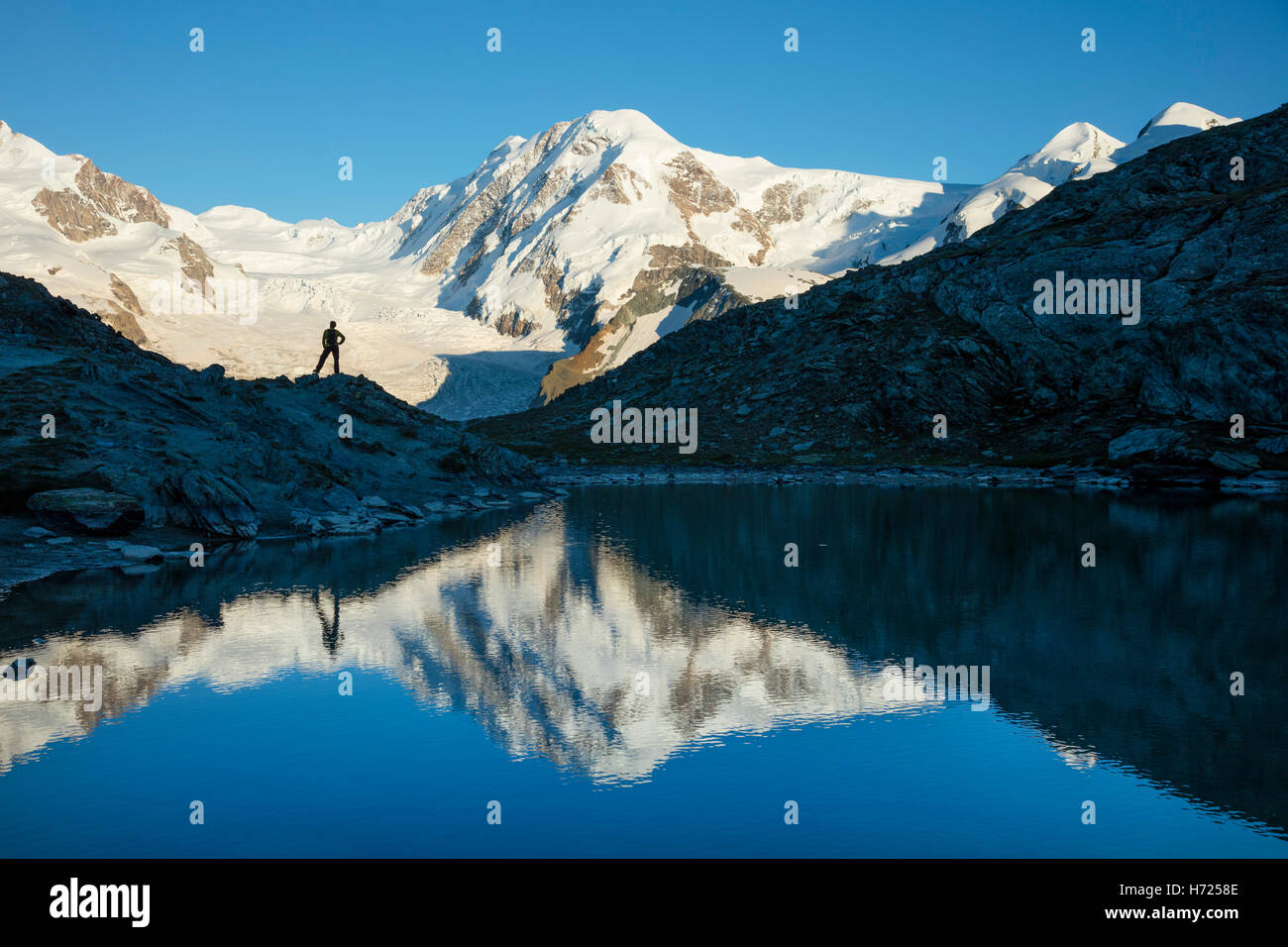 Wanderer und Liskamm spiegelt sich in den Riffelsee, Zermatt, Walliser Alpen, Wallis, Schweiz. Stockfoto