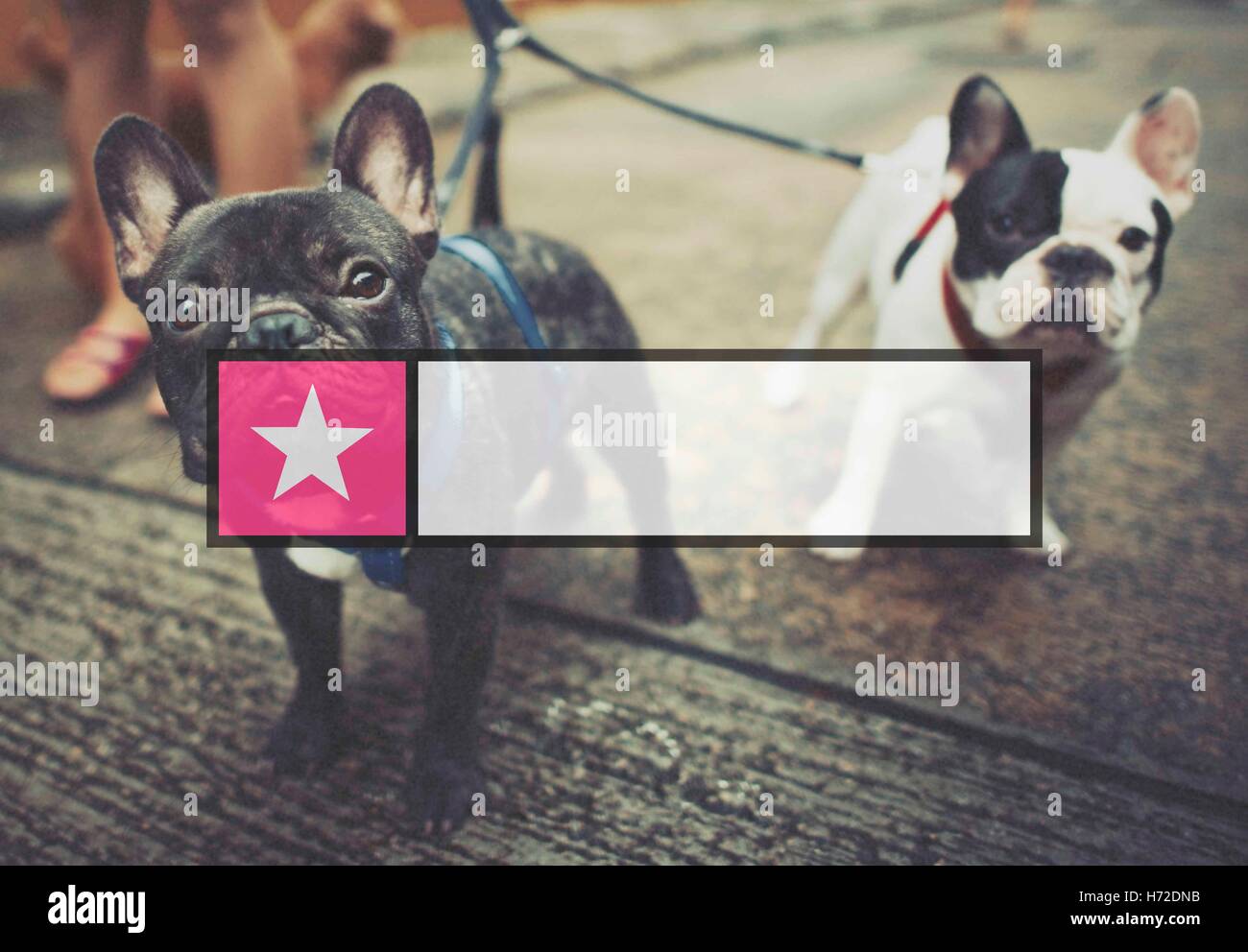 Abzeichen Kopie Banner Beschriftung leer Stempel Raumkonzept Stockfoto