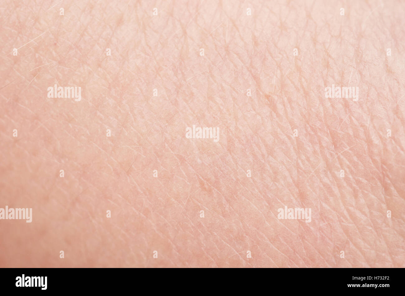 menschliche Haut Makro Textur Hintergrund Stockfoto