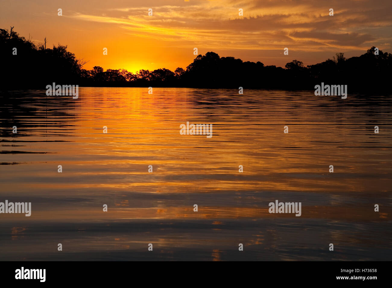 Sonne über Murray River in der Nähe von Mildura, Victoria. Der Murray River bildet die Grenze zwischen Victoria und New South Wales. Stockfoto