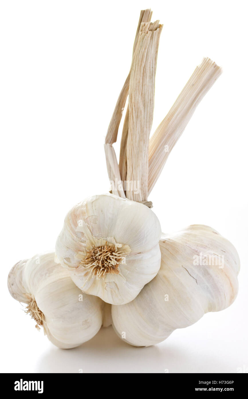 Knoblauch Zwiebeln zusammengebunden weißen Hintergrund Stockfoto