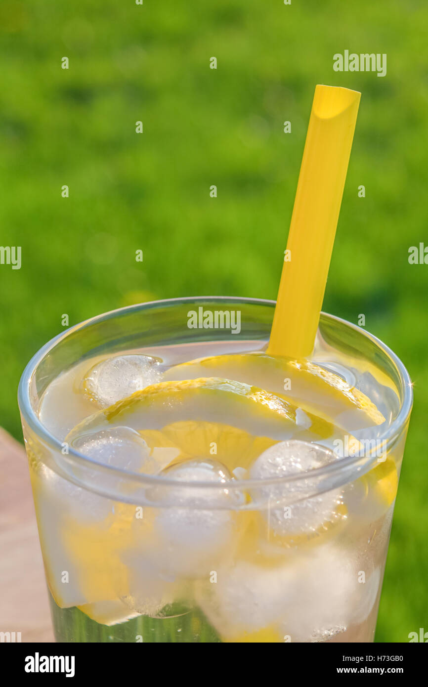 Einfaches Glas Eiswasser mit Zitronenscheiben und Stroh auf einem Tisch. Im Freien mit einem Fokus Rasen Hintergrund in weichen Su genommen Stockfoto