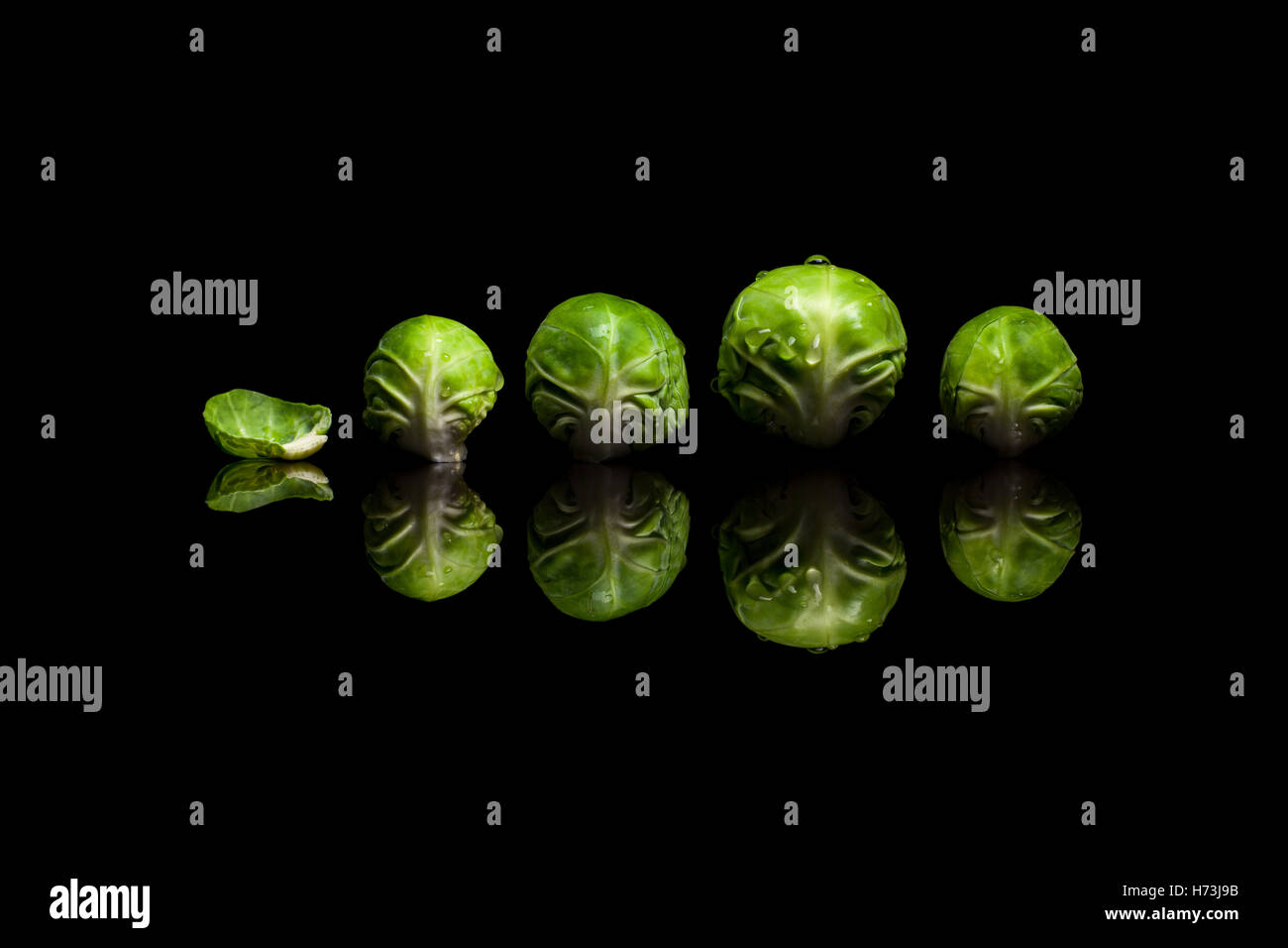 Vier frische grüne Rosenkohl hintereinander auf schwarzen reflektierenden Hintergrund isoliert Stockfoto