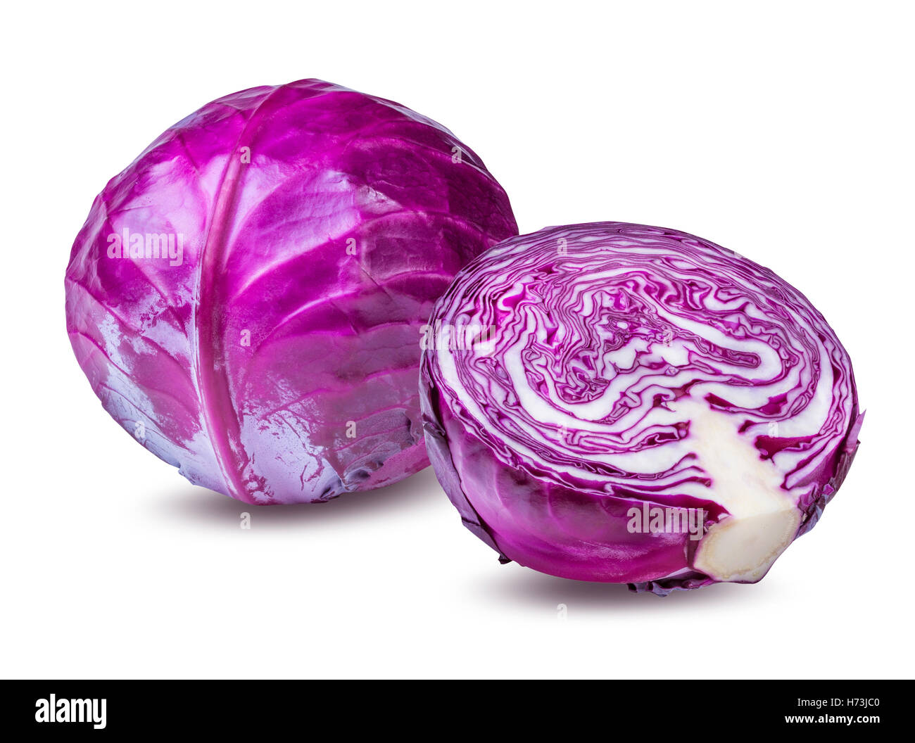 Rotkohl, isoliert auf weißem Hintergrund Stockfoto