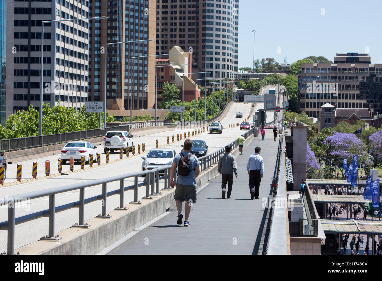 Sydneys Cahill Expressway Straßenlauf durch die Innenstadt, Sydney, Australien Stockfoto