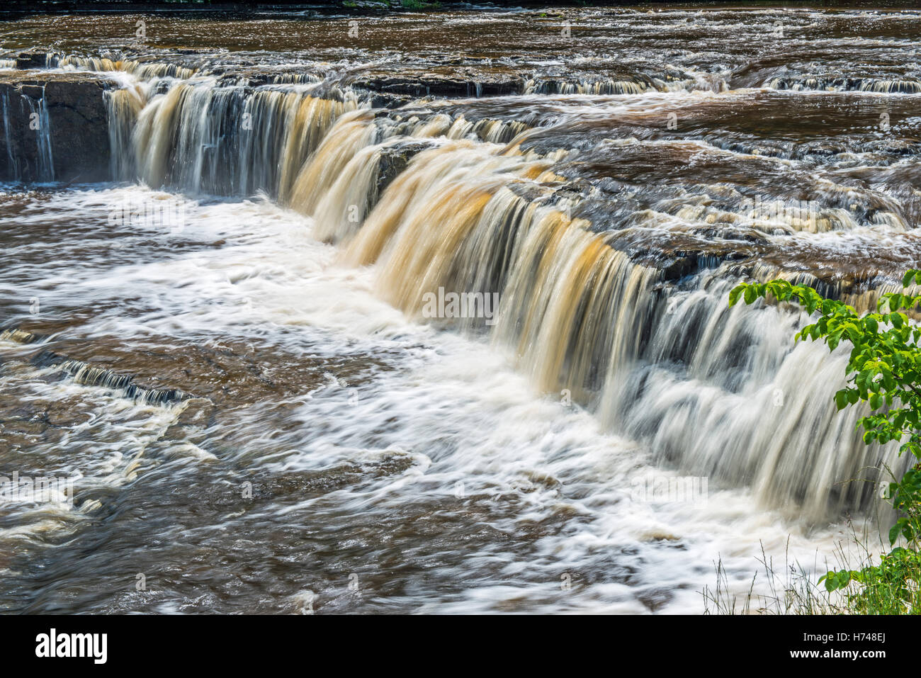 Nahaufnahme von der Aysgarth oberen Wasserfall auf dem Fluß Ure in Wensleydale in Yorkshire Dales National Park Stockfoto