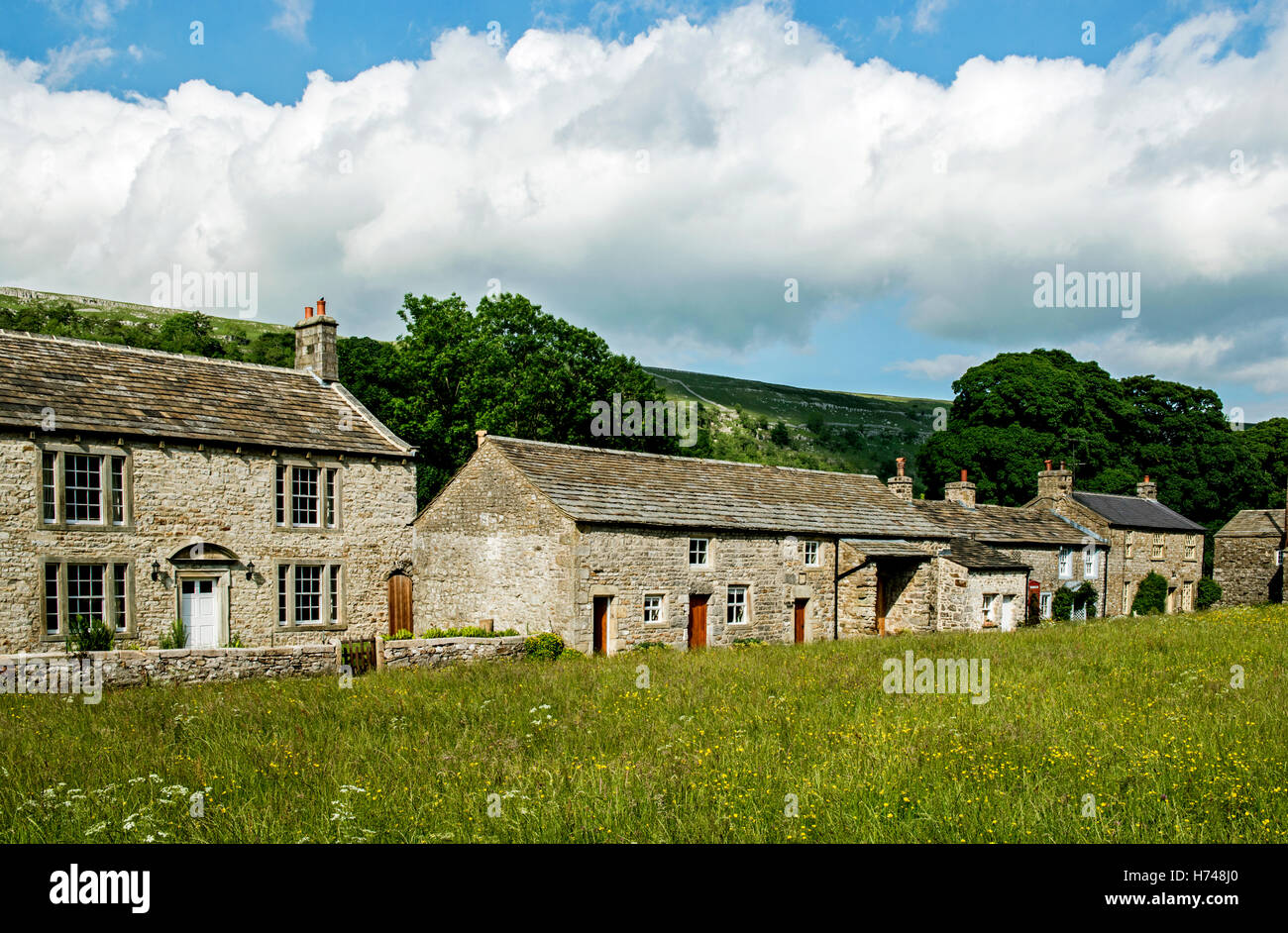 Dorf von Arnecliff in Littondale Yorkshire Dales im Sommer, zeigen eine Reihe von Stein erbauten Häuser entlang der grünen. Stockfoto