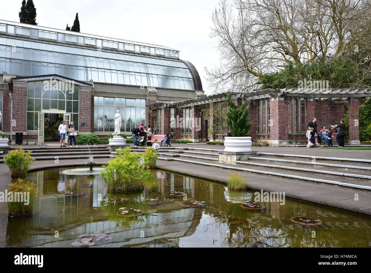 Auckland Domain Wintergardens Innenhof mit Brunnen und einem Teich. Stockfoto