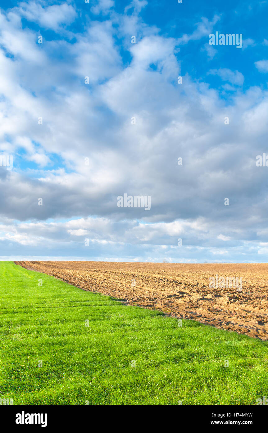 Landwirtschaft, Landwirtschaft, Landwirtschaft, Ackerland, Wachstum Stockfoto