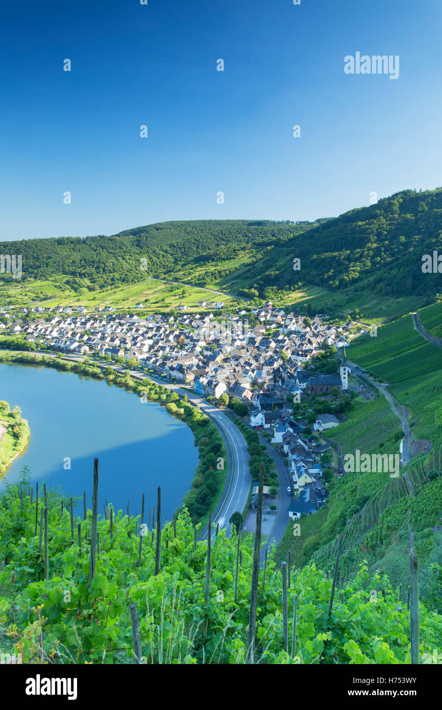 Blick auf Fluss Mosel, Bremm, Rheinland-Pfalz, Deutschland Stockfoto