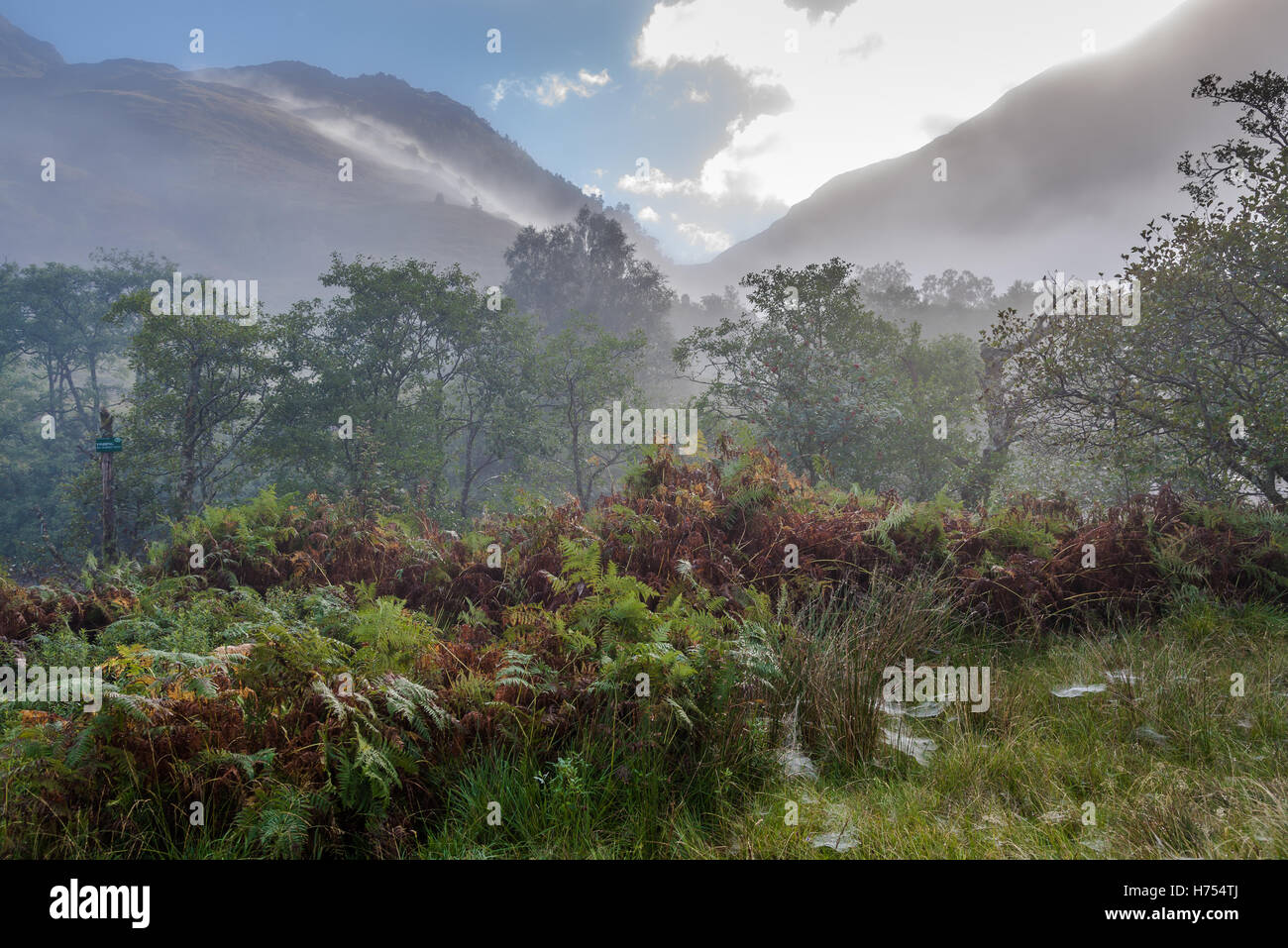 Morgennebel in Glen Nevis Stockfoto