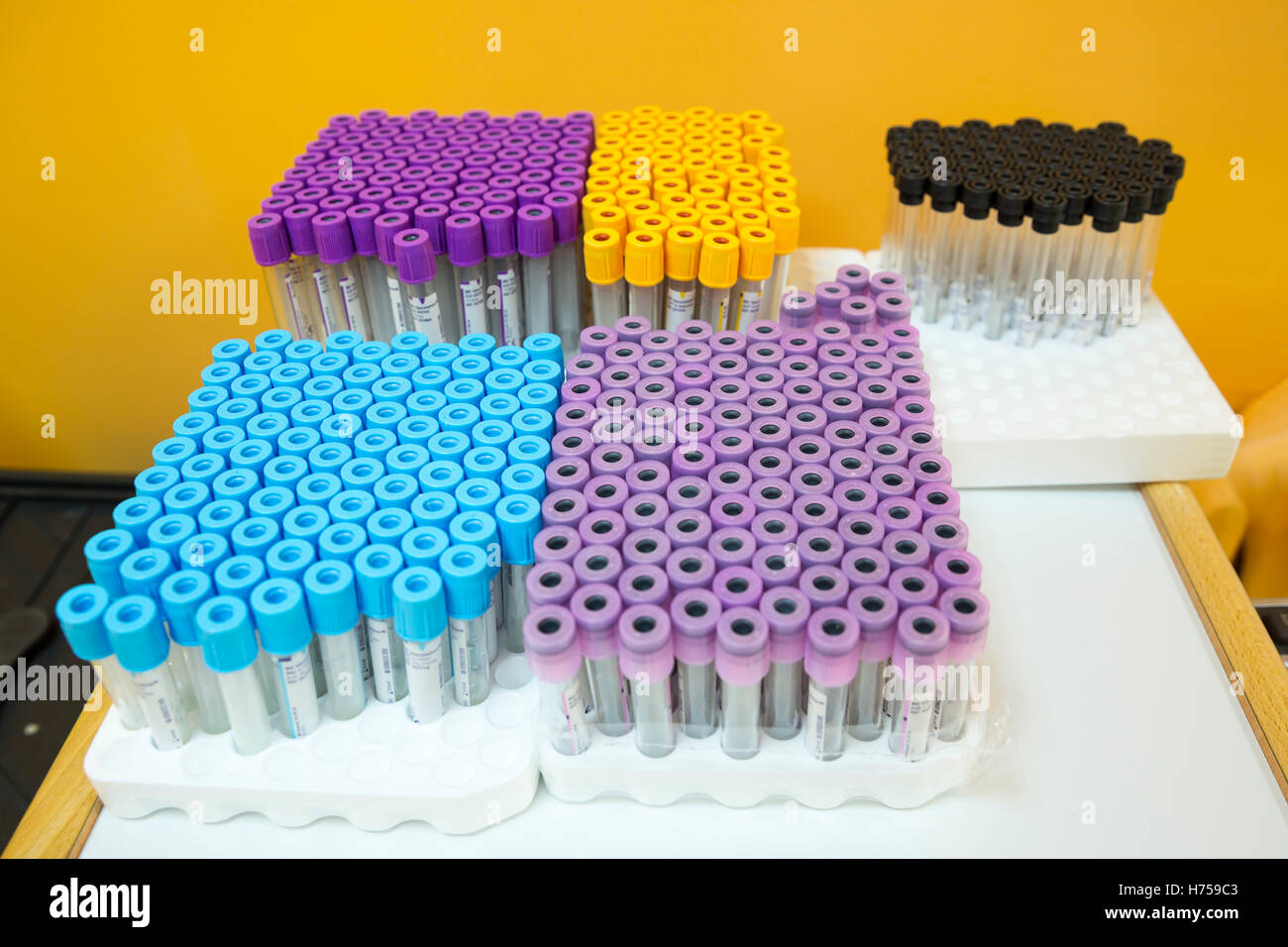 Leere Blut Prüfung medizinische Schläuche. Rack mit Reagenzgläsern Wissenschaftler und im chemischen Labor technische Ausrüstung. Rohre für Centr vorbereitet Stockfoto