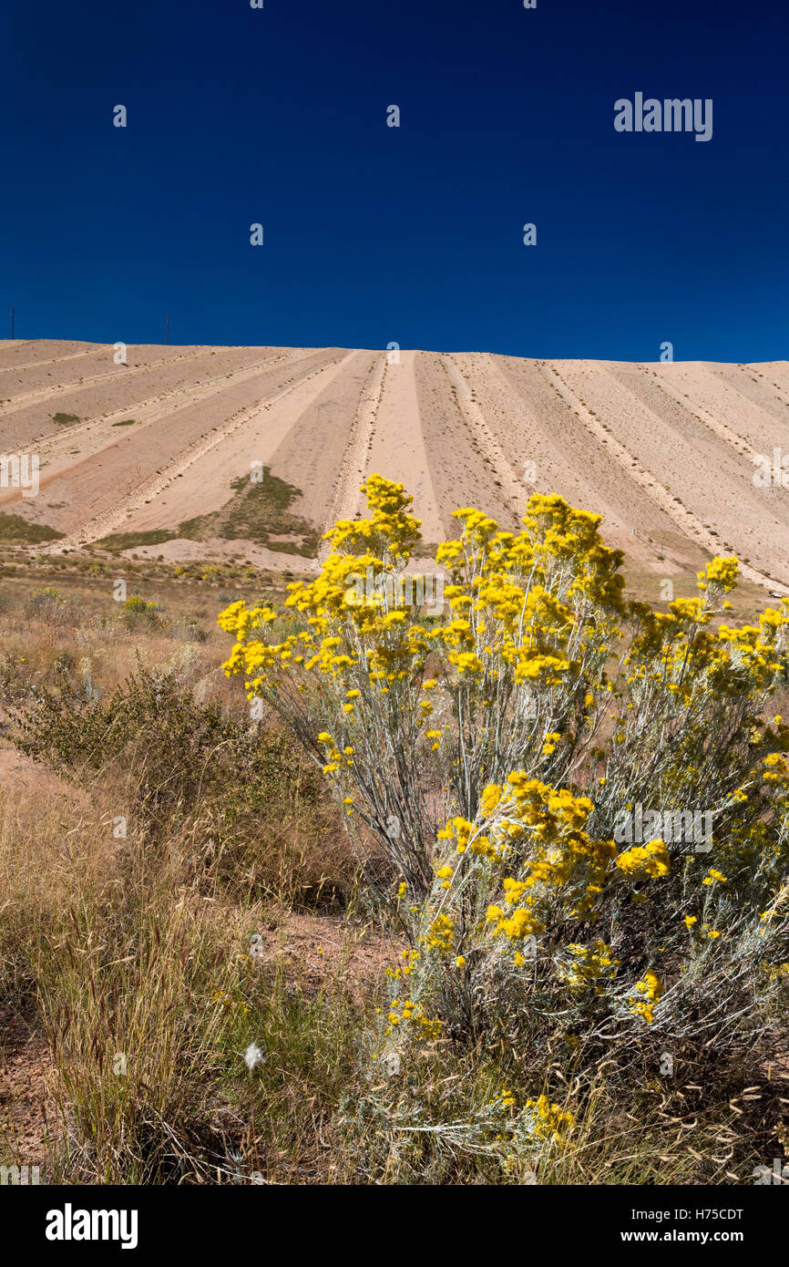 Tyrone, New Mexico - Kupfermine Restaurierung bei Freeport-McMoRan Tyrone Mine landen. Stockfoto