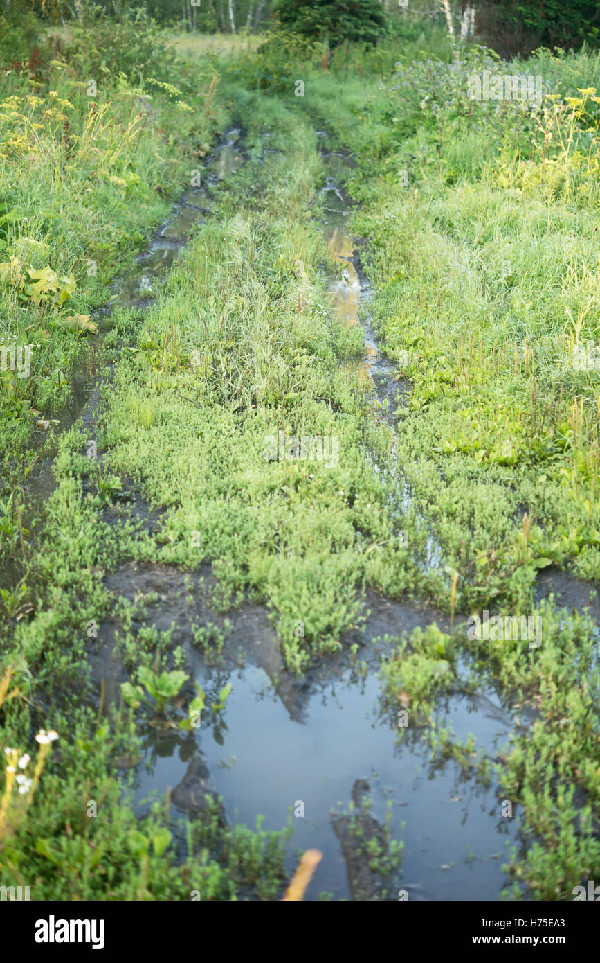 Landstraße Stockfoto