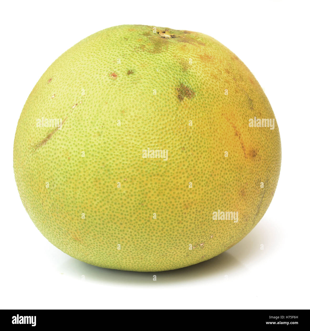 Pomelo isoliert auf weißem Hintergrund Stockfoto