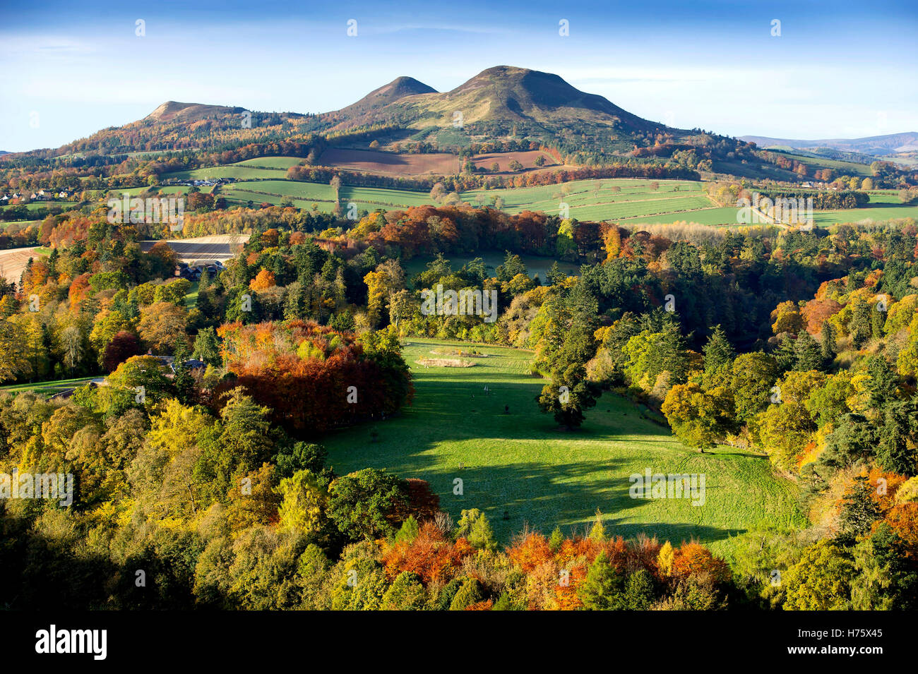 Scotts View, ein Aussichtspunkt mit Blick auf das Tal des Flusses Tweed, mit den Eildon Hügeln jenseits Scottish Borders. Stockfoto