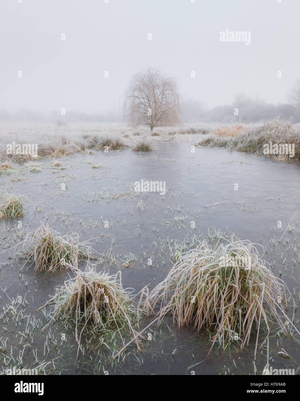 Gefrorene Landschaft, Ely, Cambridgeshire, England, Vereinigtes Königreich Stockfoto