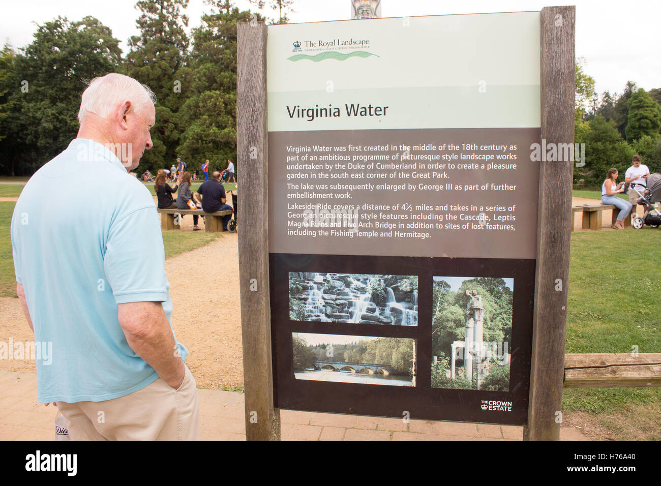 Ein älterer Mann liest ein Schild über die Geschichte von Virginia Water in der Nähe von Windsor in Surrey. Stockfoto