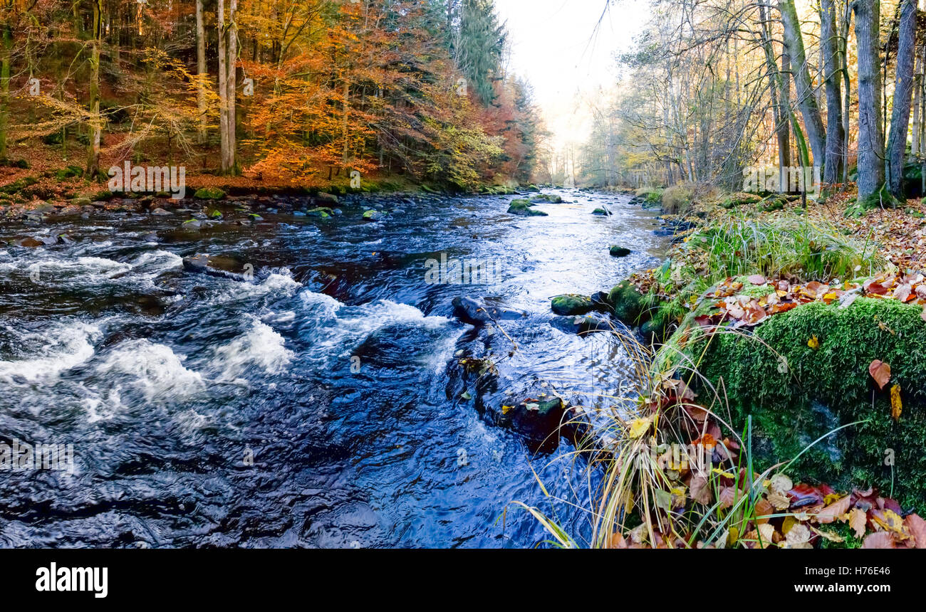 Fluss Ilz Im Bayerischen Wald, Fluss Ilz im Bayerischen Wald Stockfoto