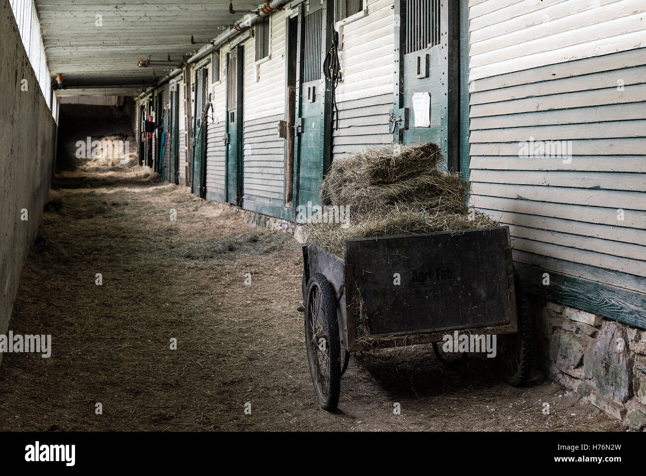 Heuwagen außerhalb stabile Stände, Morgan Horse Farm, Weybridge, Vermont, USA. Stockfoto