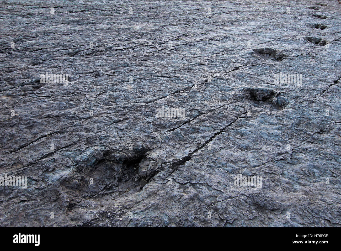 Riesige Dinosaurier-Fußspuren, Tal der Maragua, Bolivien Stockfoto