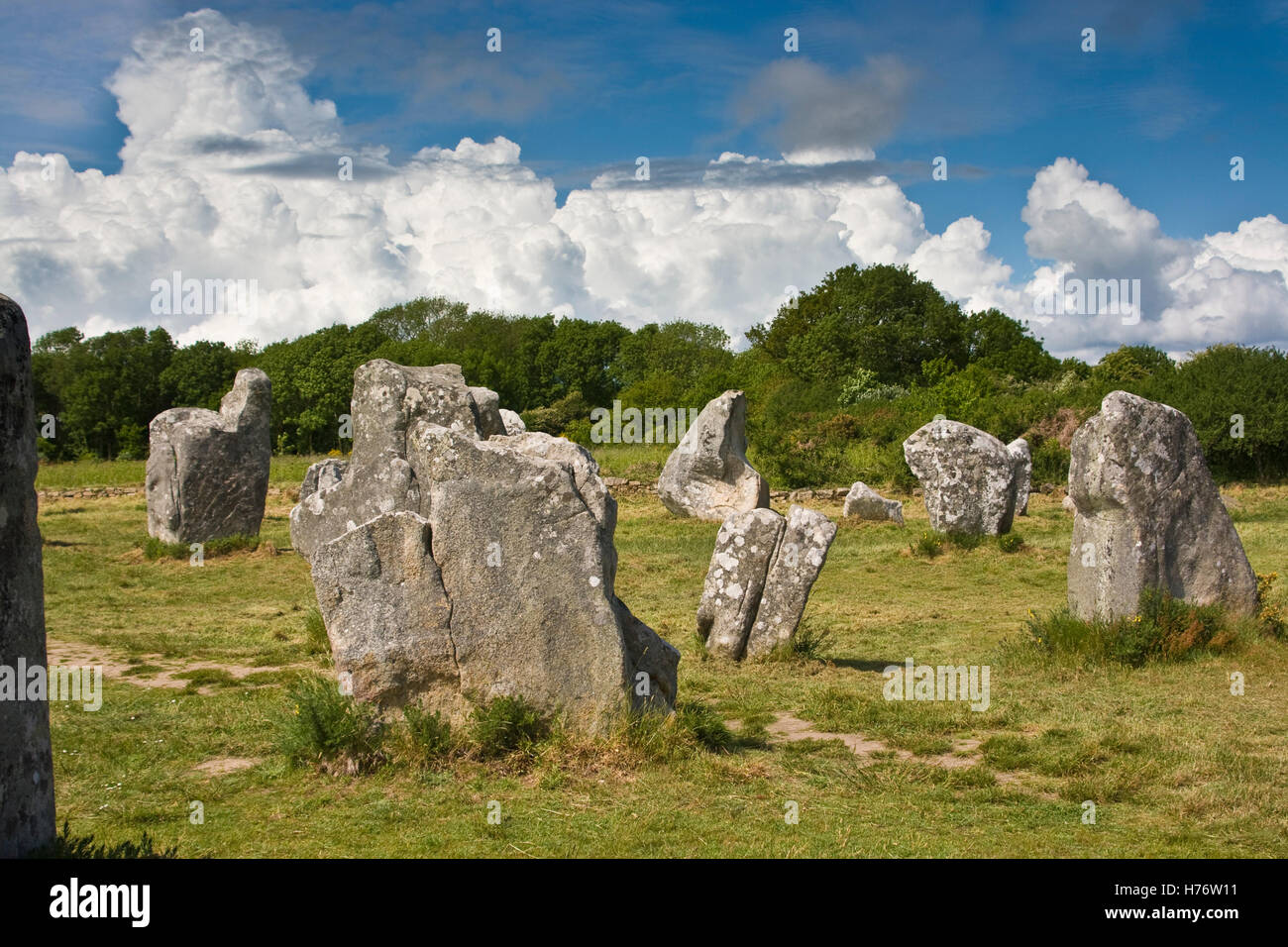 Menhire in Grüner Wiese, Im Hintergrund Wlad Und Dicke Cumuluswolken; Menhire in grüne Wiese, Wald und dicken Kumuluswolke Stockfoto