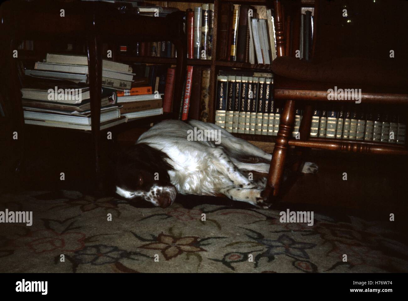 Vintage archival Foto aufgenommen im Jahr 1955 Stockfoto