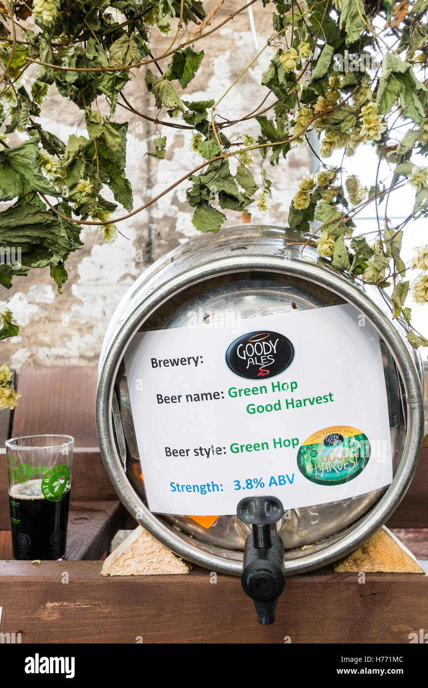 England, Tunbridge Wells. CAMRA Real Ale Bier Festival im Lokschuppen. Barrel Bier mit Label, "Grüne hop' Bier, Stärke 3,8%. Stockfoto