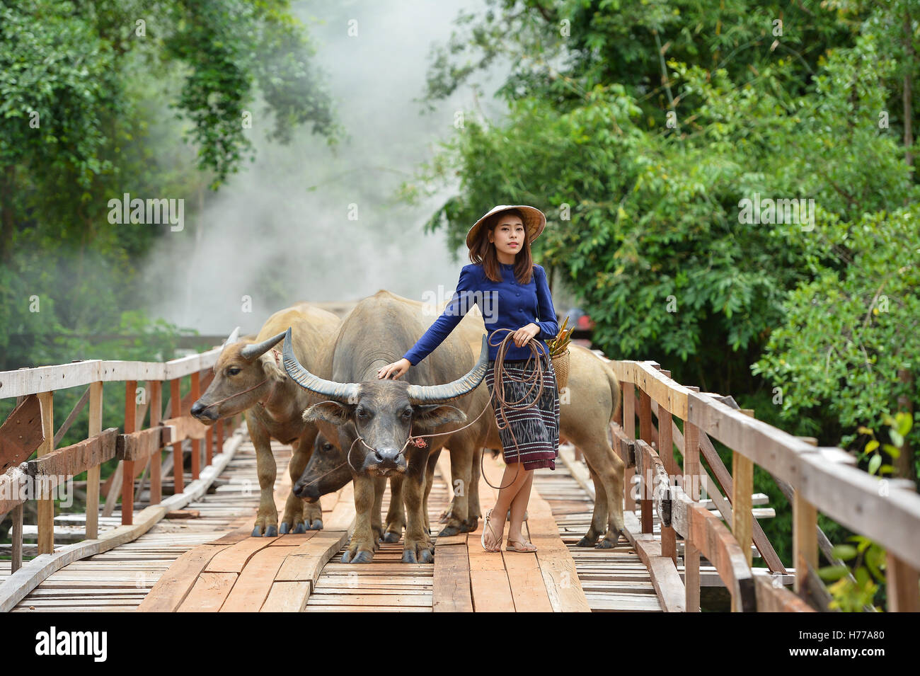 Frau zu Fuß über die Brücke mit Büffel, Thailand Stockfoto