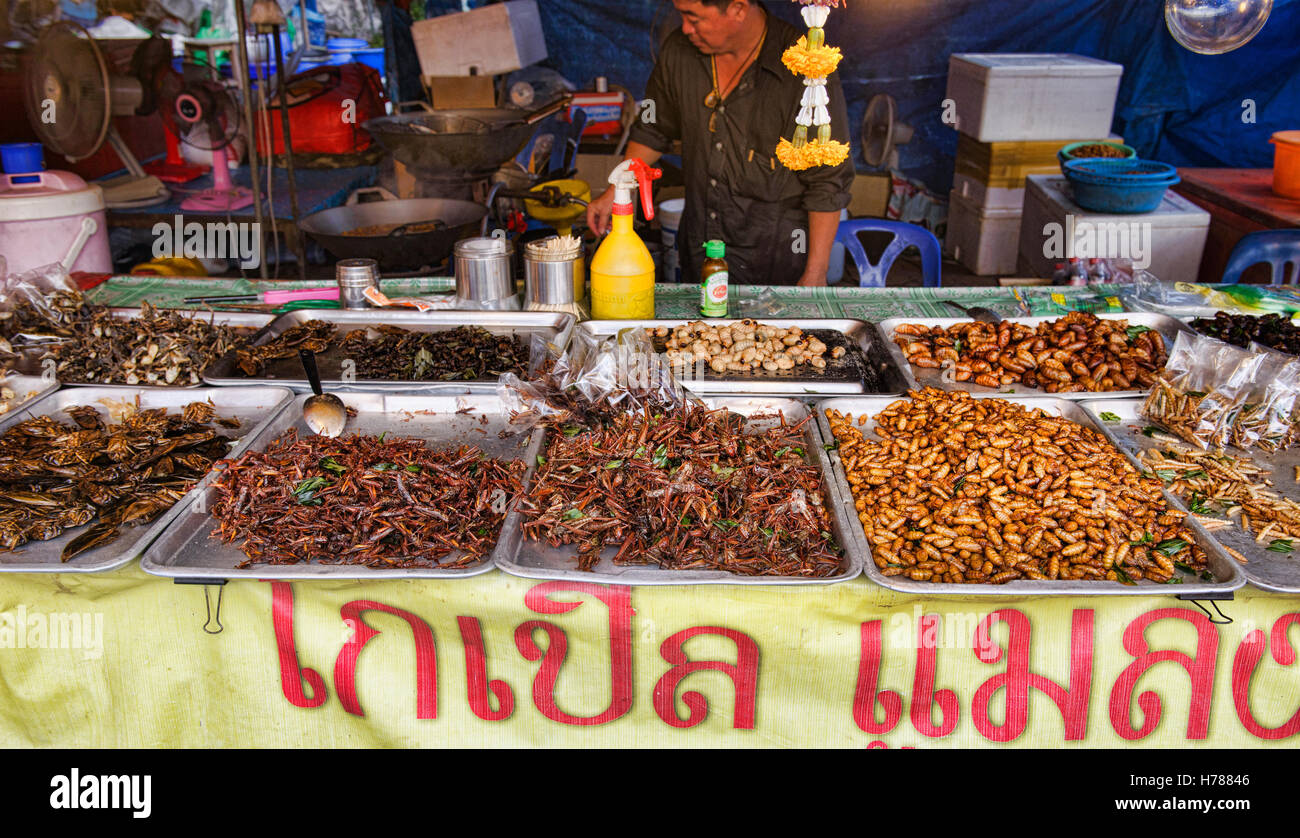 Gebratene Insekten zum Verkauf in der Nacht Markt, Prachuap Khiri Khan, Thailand Stockfoto