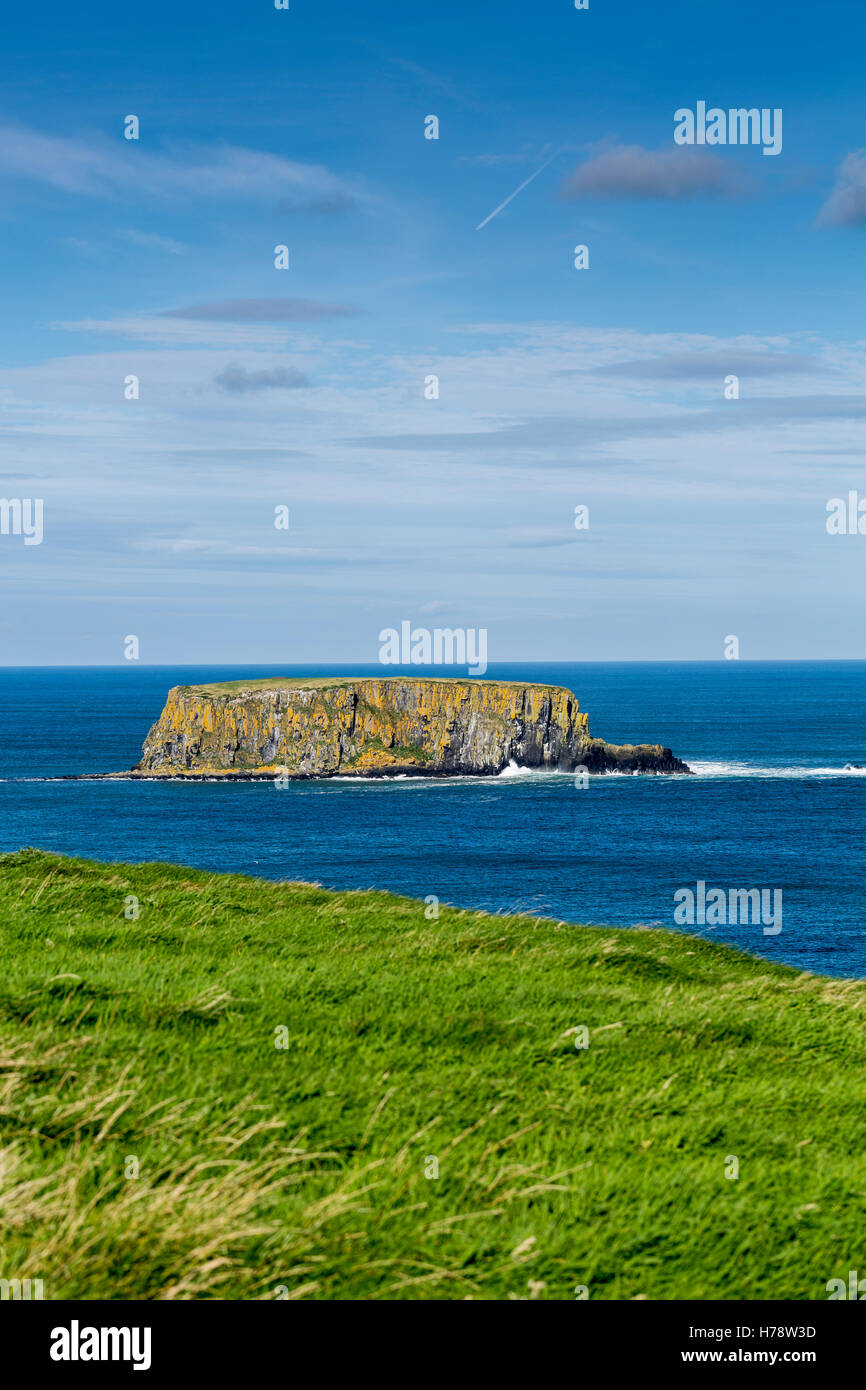 Basaltfelsen vor der Küste von North Antrim von Carrick ein Rede, Irland. Stockfoto