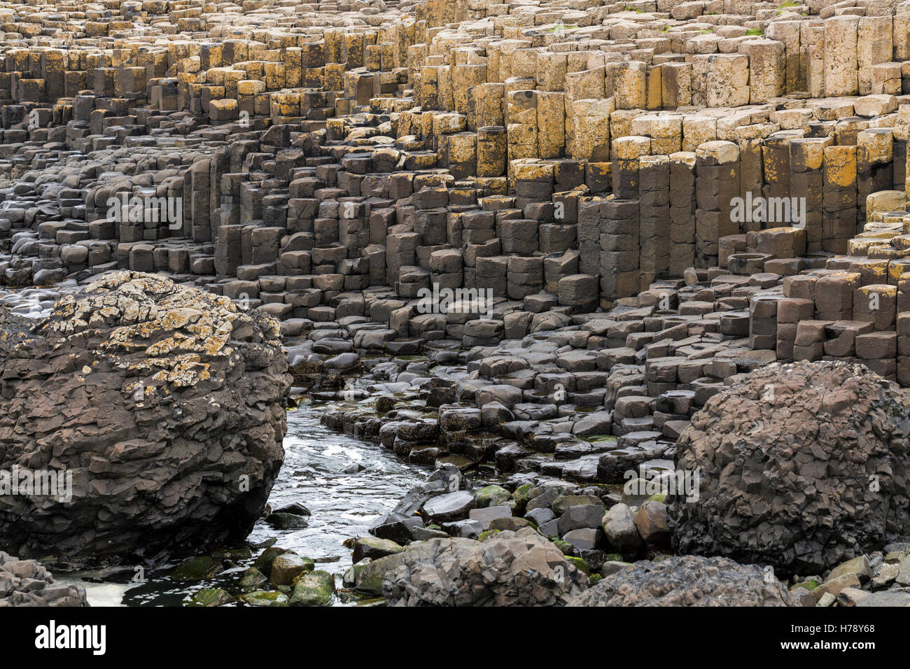 Giants Causeway auf der Küste von North Antrim in Ulster, Irland. Stockfoto