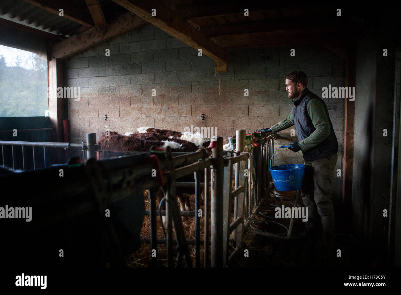 ÖKOLOGISCHEN LANDBAU Stockfoto