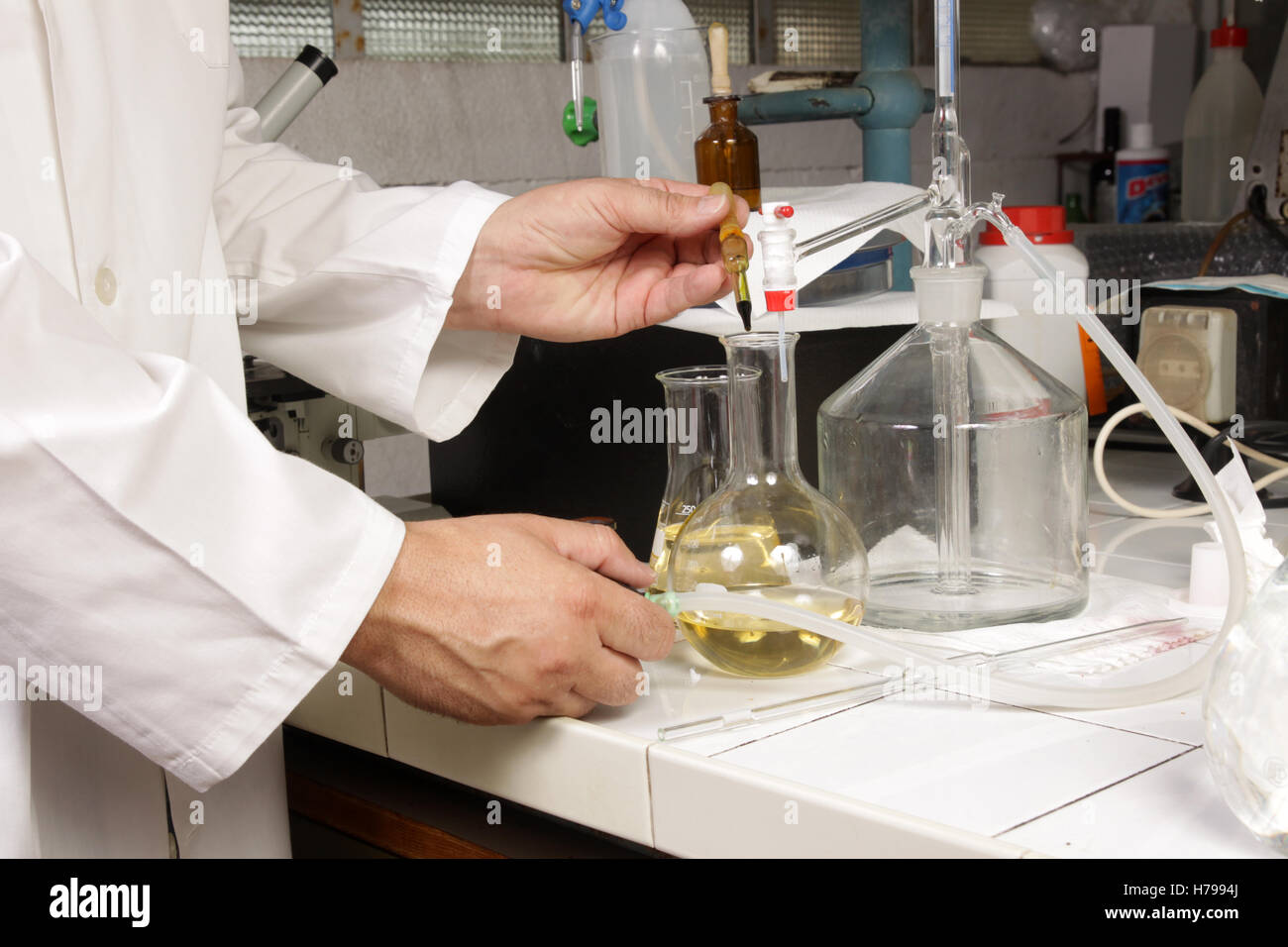 Biologe an der Arbeit in einem Labor Stockfoto