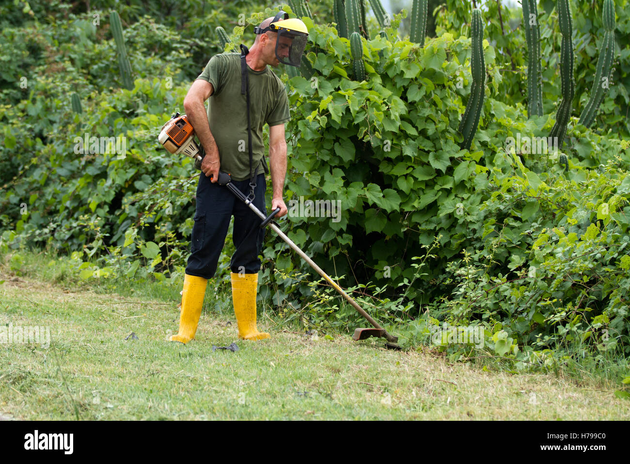 Gärtner mäht den Rasen in seinem Garten Stockfotografie Alamy