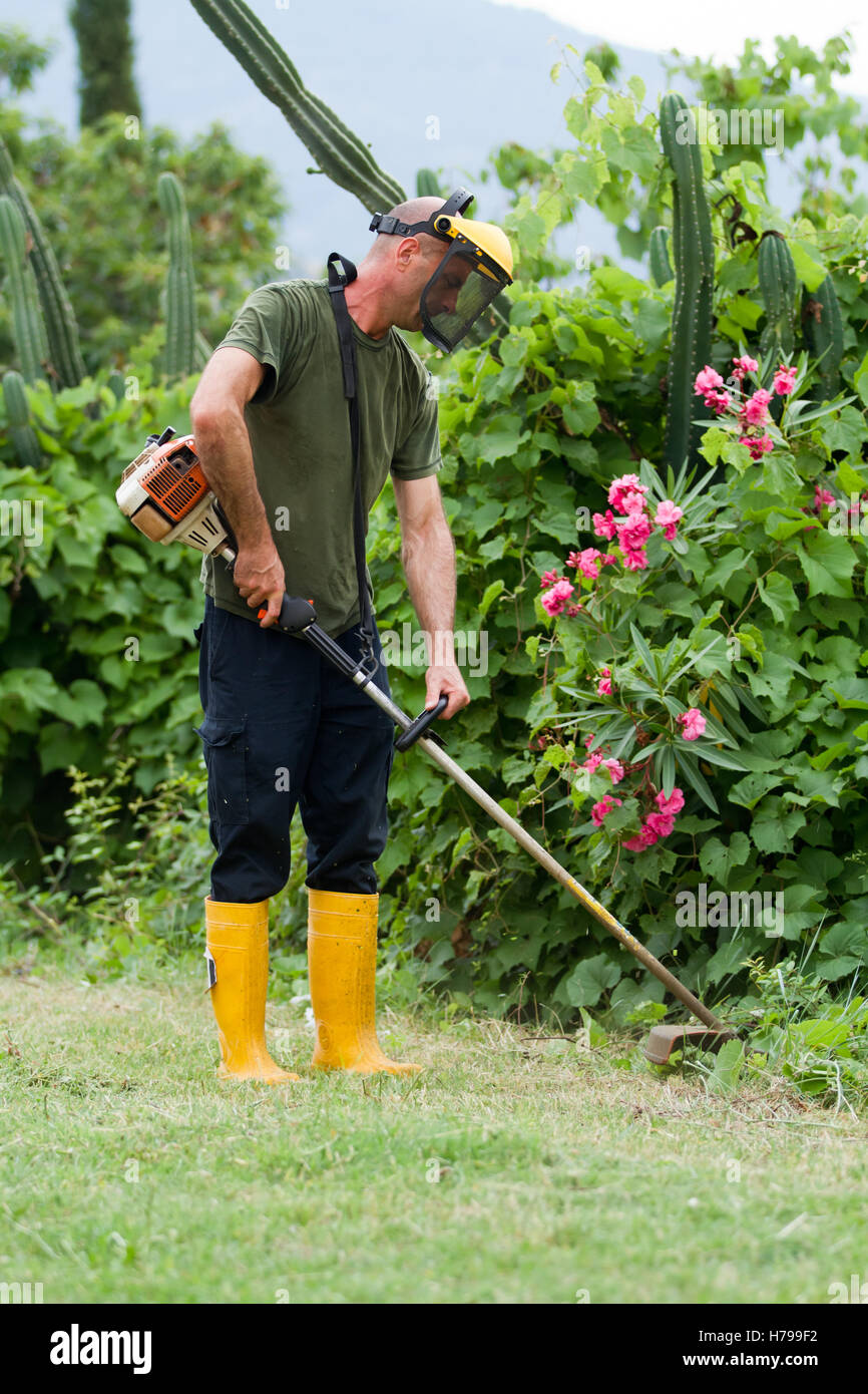 Gärtner mäht den Rasen in seinem Garten Stockfotografie Alamy